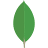MongoDB